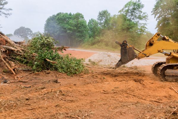 Ground Clearing in Lansdale