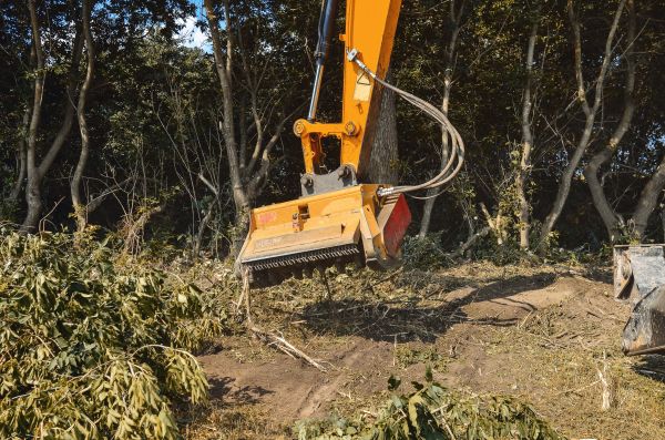 Brush Removal Service in Lansdale