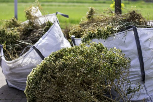 Cost of Bushes Clearing in Lansdale