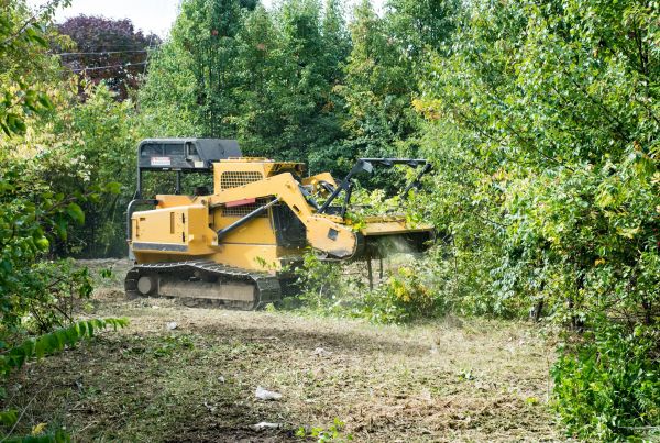 Cost of Pathway Clearing in Lansdale
