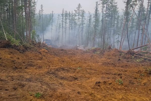 Cost of Hill Clearing in Lansdale