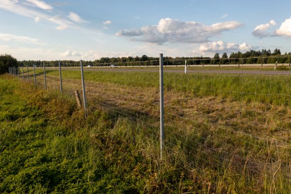 Cost of Property Line Clearing in Lansdale