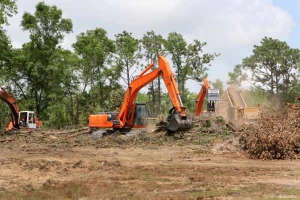 Cost of Commercial Lot Clearing in Lansdale