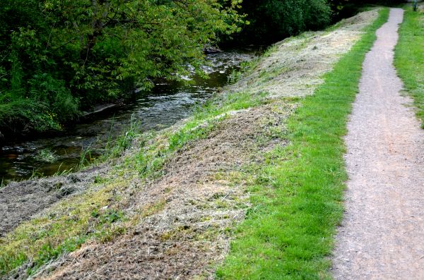 Cost of Trail Cutting in Lansdale
